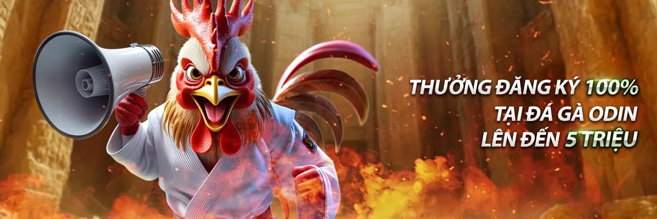 Sân vận động với ánh đèn rực rỡ và người hâm mộ cuồng nhiệt, thể hiện sự sôi động của cá cược thể thao hh888