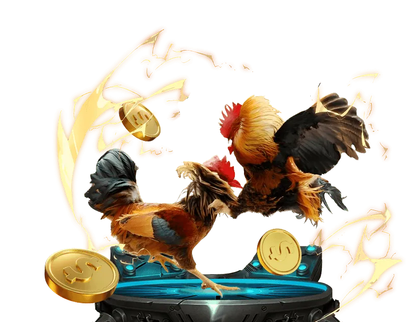 Chiến lược cá cược thể thao hh888